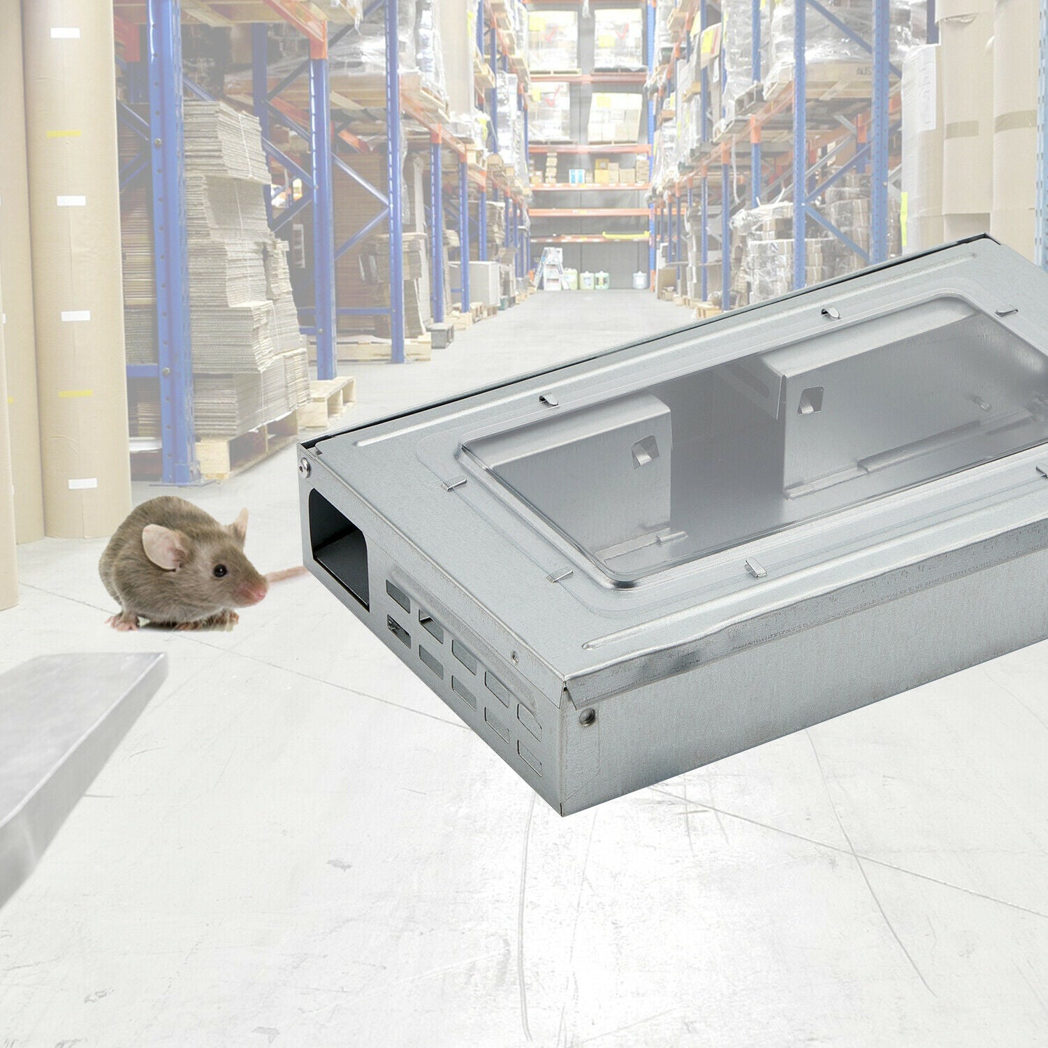 Mouse Trap Metal Box – MiceTraps Australia