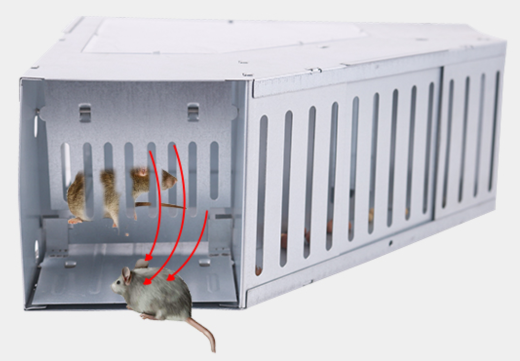 Triangle Mice Sliver Traps