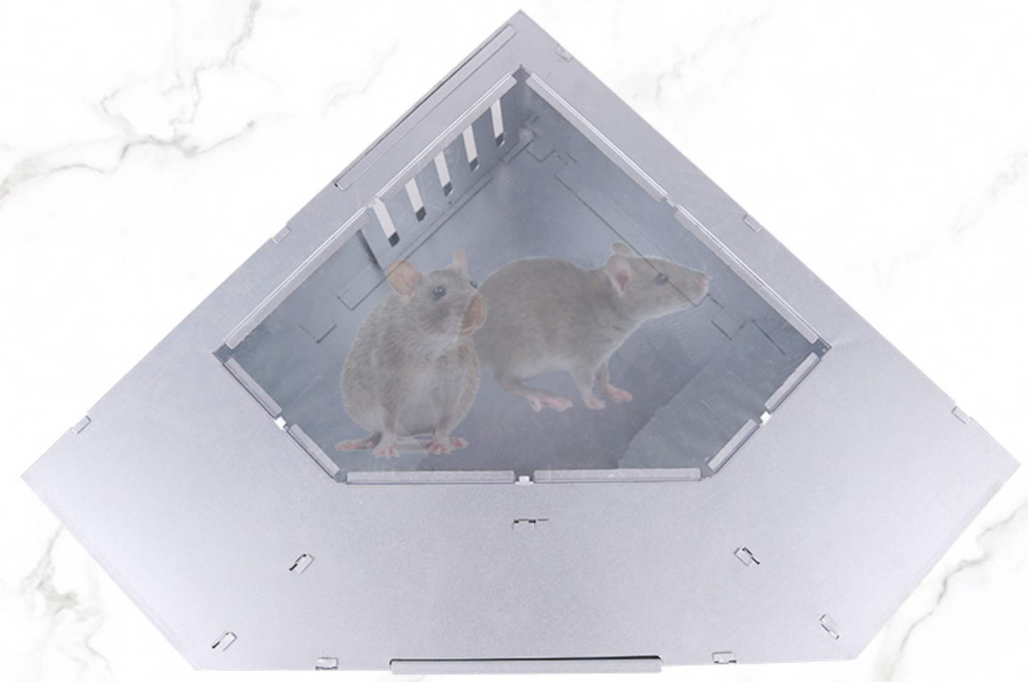 Triangle Mice Sliver Traps